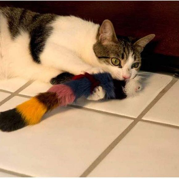 Iconic Pet Set of 2 Fur Weasel Toy with Squeaker for Pets, Best Pet Play Toy - Picture 3 of 8